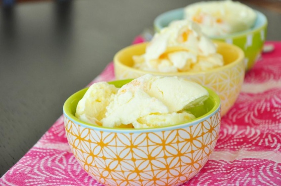 Ben & Jerry's Fresh Georgia Peach Ice Cream