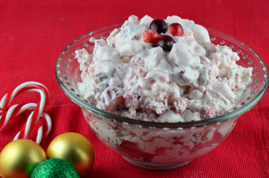Christmas Cranberry Salad