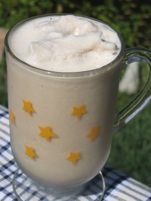Coffee Slushie, Low Sugar - Fat Free Recipe - Food.com