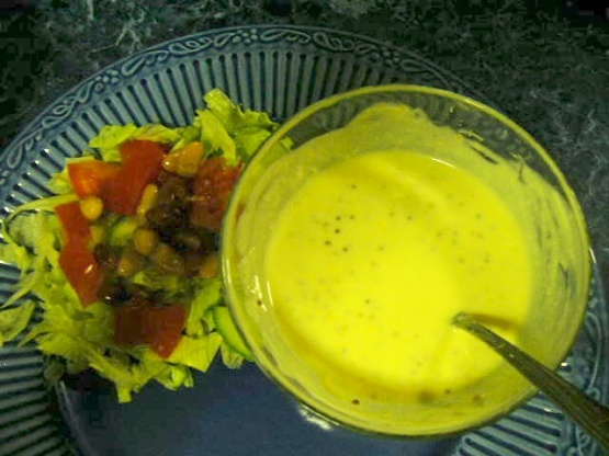 orange mayonnaise dressing McCormick McMex Mayo Dressing, 10.3 oz