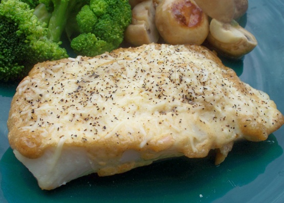 Baked Halibut With Parmesan