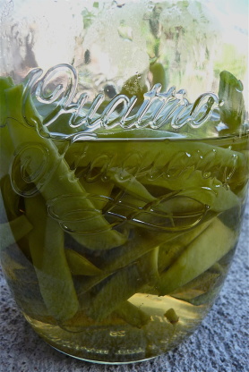 Pickled Green Beans Recipe - Food.com