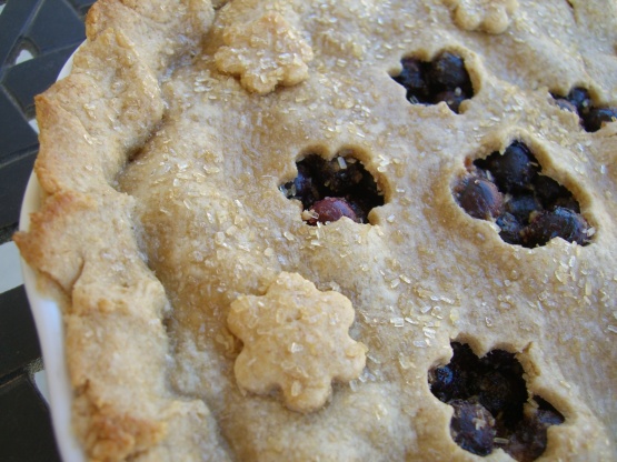 Maine Wild Blueberry Pie Recipe - Baking.Genius Kitchen