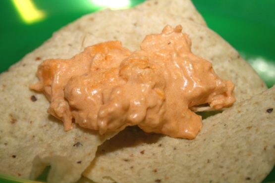 Crock Pot Buffalo Chicken Dip Recipe - Genius Kitchen