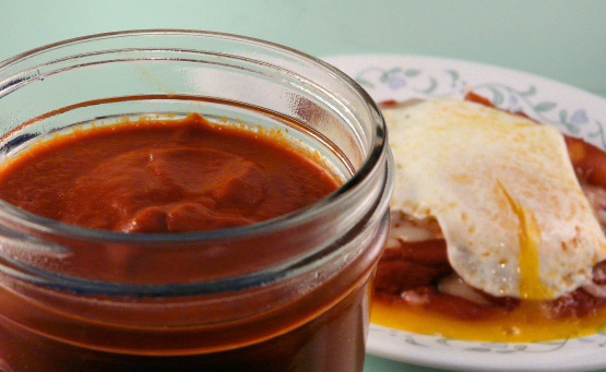 Mexican Red Chile Sauce [www.food.com]