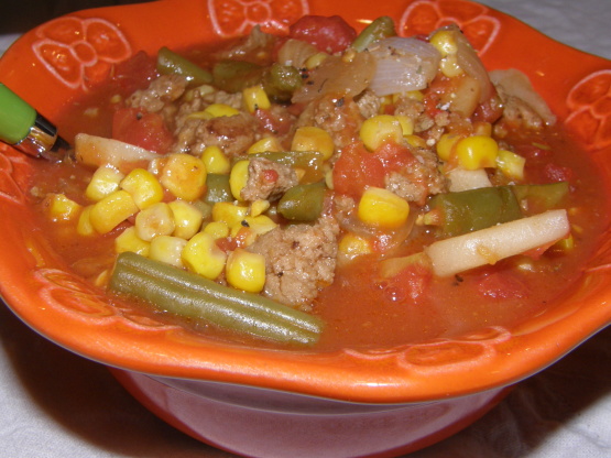 Ground Turkey & Veggie Soup
