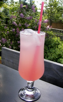 Rhubarb Soda