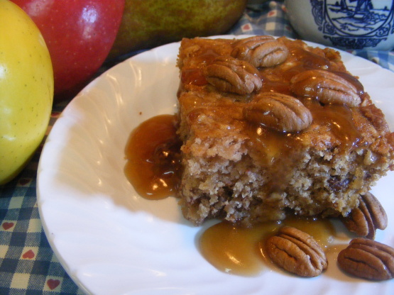 Apple Pudding Cake With Butterscotch Sauce Recipe - Genius Kitchen