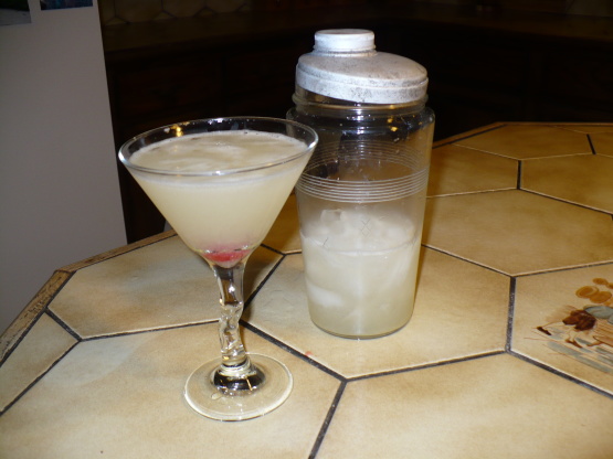 The Most Refreshing Fresh Squeezed Grapefruit Martini Recipe - Food.com