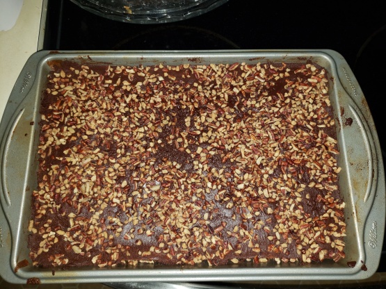Turtle Cake from Scratch Recipe - Baking.Food.com