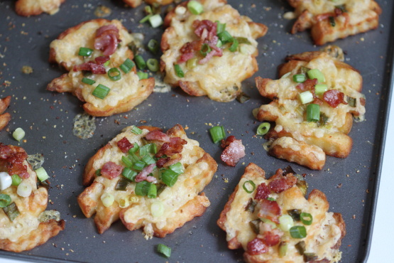 Idaho: Loaded Potato Fries