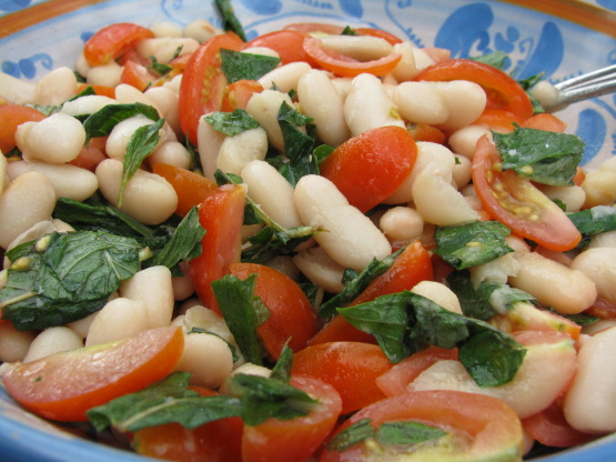 Tomato, Mint and Cannellini Bean Salad Recipe - Food.com