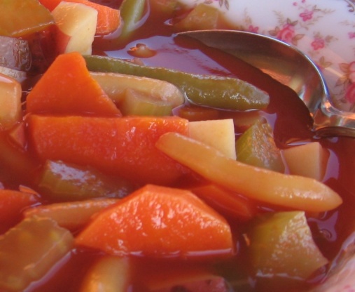 Nutritious Delicious SLENDER Soup