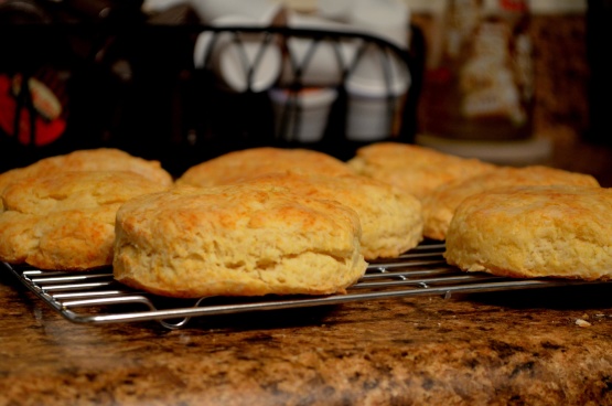 Buttermilk Biscuits