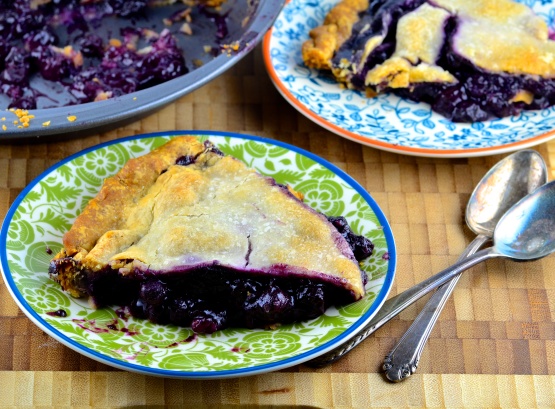 Blue Ribbon Wild Blueberry Pie Recipe - Genius Kitchen