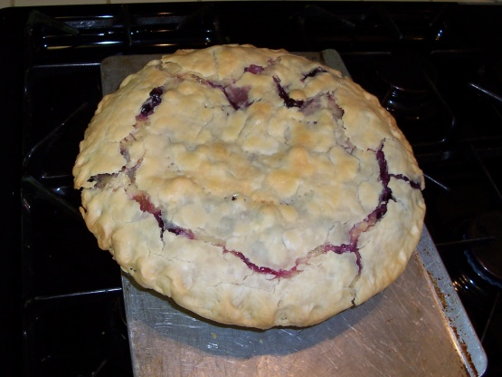 Dianne's Rhubarb Custard Pie