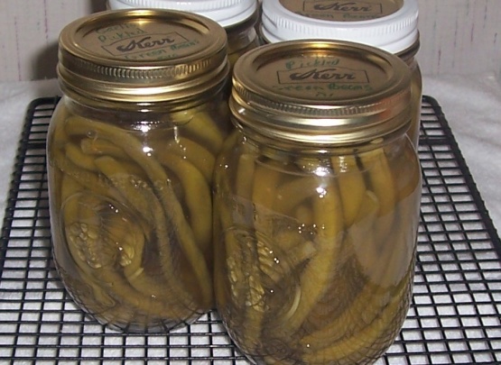 Garlic Pickled Green Beans