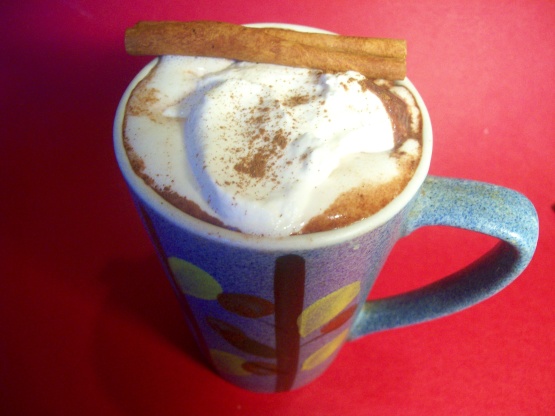 Sugar and Spice Hot Chocolate Recipe - Food.com