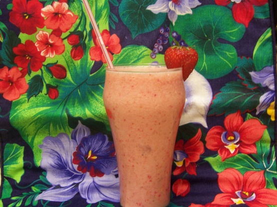 Easy Fruit Shake Recipe - Food.com