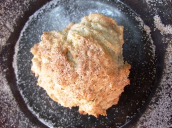 Cinnamon-Sugar Breakfast Biscuits