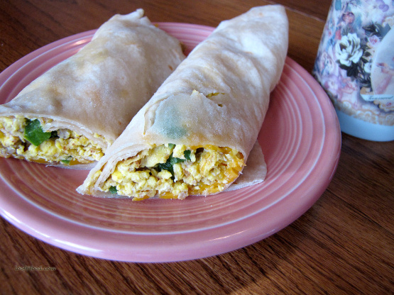 Papa D’s Breakfast Burrito