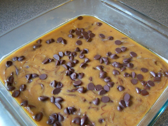 Peanut Butter-Chocolate Chip Fudge Recipe - Food.com
