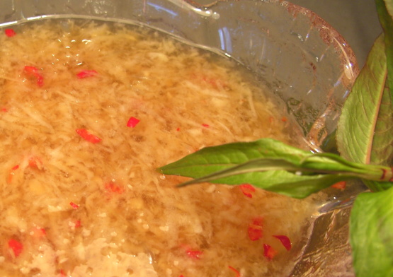 Vietnamese Ginger Fish Sauce - Nuoc Mam Gung