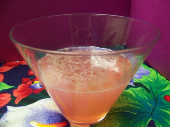 Simple Bacardi Cocktail Recipe - Food.com
