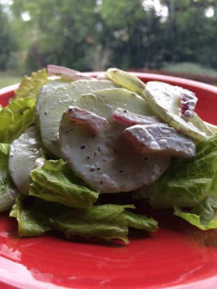 Cucumber and Red Onion Salad