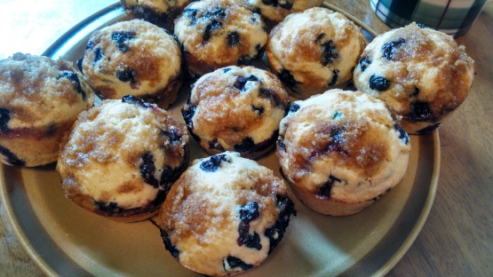 Blueberry Streusel Muffins