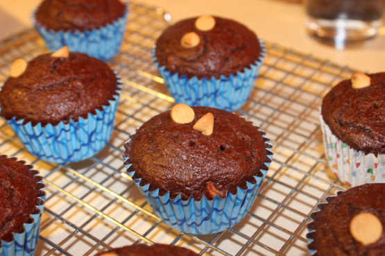 Low Fat Mocha Chocolate Chip Muffins