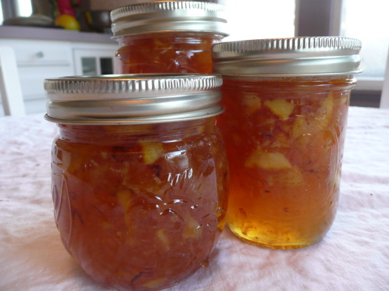 Orange Marmalade - Alton Brown Recipe - Low-cholesterol.Genius Kitchen