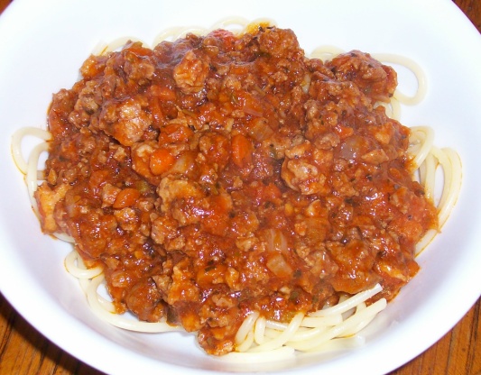 KidS Favorite Spaghetti Sauce