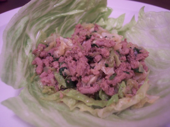 Spicy Asian Ground Turkey With Cabbage