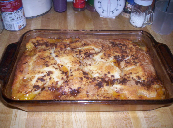 Easy Peach Cobbler [www.food.com]