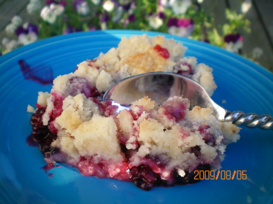Mean Chef's Blackberry Cobbler