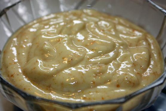 Fat Free Curried Yogurt Dip