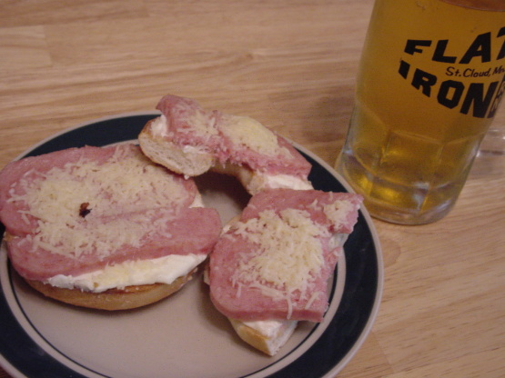 Broiled Cheese Spamgel