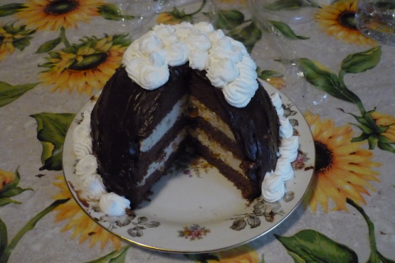 Soft & Gooey Chestnut and Chocolate Cake