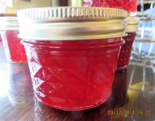 Vanilla Cardamom Plum Jelly Recipe - Food.com