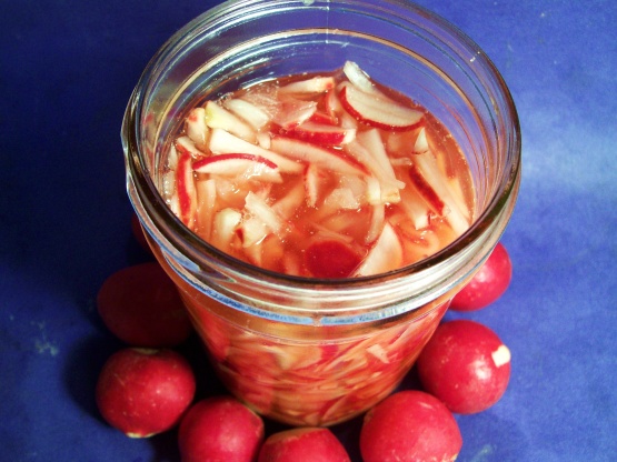 Amana Radish Relish Recipe - Food.com