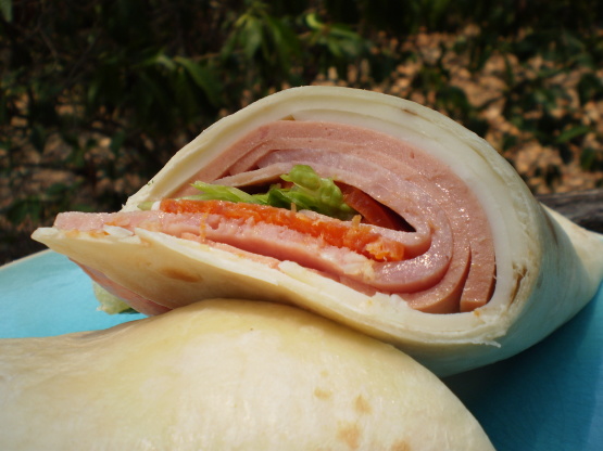 Deli Wraps  With A Blast