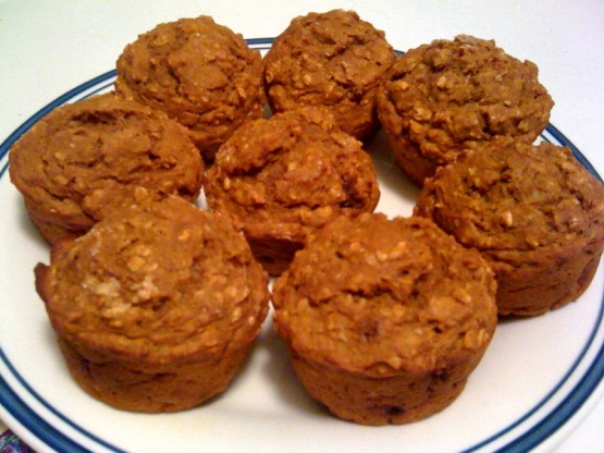 Low-Fat Oatmeal Pumpkin Muffins Recipe - Genius Kitchen