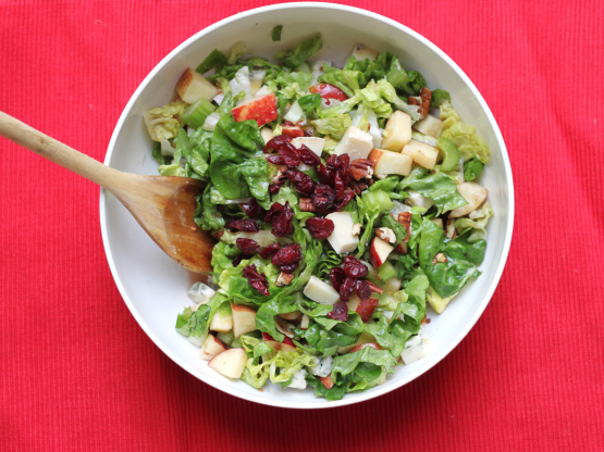 Apple Salad with Cranberry Vinaigrette