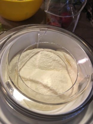 Low-Carb Vanilla Ice Cream