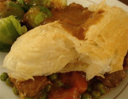 Beef and Onion Pot Pie/Stew Recipe - Food.com