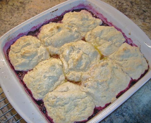 Red Raspberry Cobbler (Dairy Free) Recipe - Dairy-free.Food.com