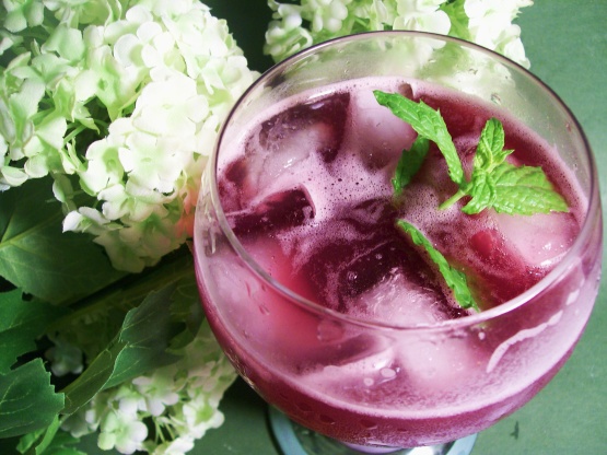Blueberry Lemonade With Lemon Verbena & Ginger