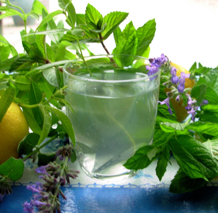 Lemon Verbena and Mint Tea - French Verveine and Mint Tisane Recipe - Food.com