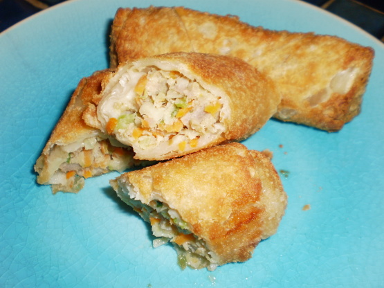 Easy Homemade Chinese Egg Rolls Recipe – Melanie Cooks